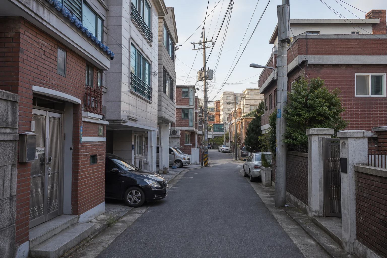 임대 정책